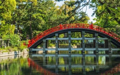 Infografías Reflexivas: Asia